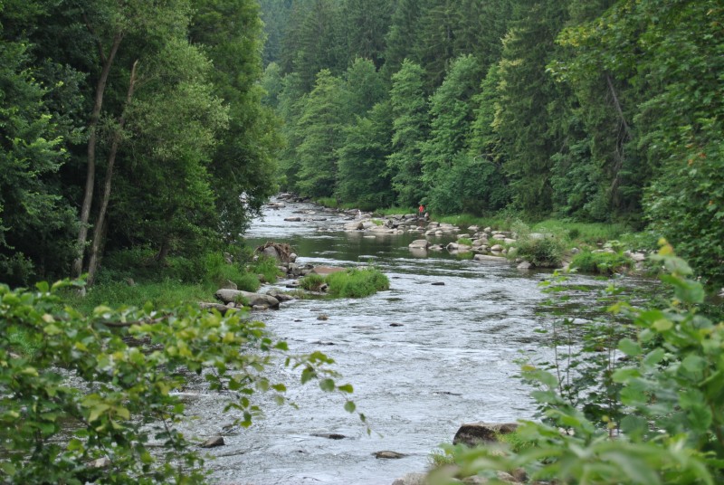 pepajs.cz